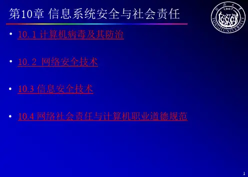 同济大学大学计算机基础课件(第十章)