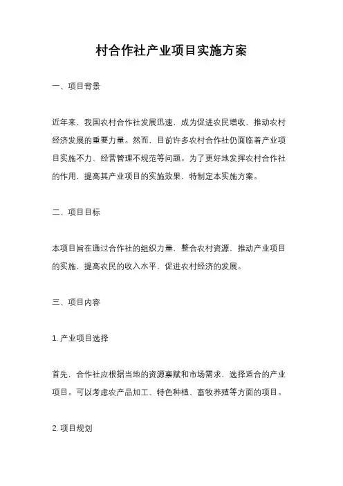 村合作社产业项目实施方案