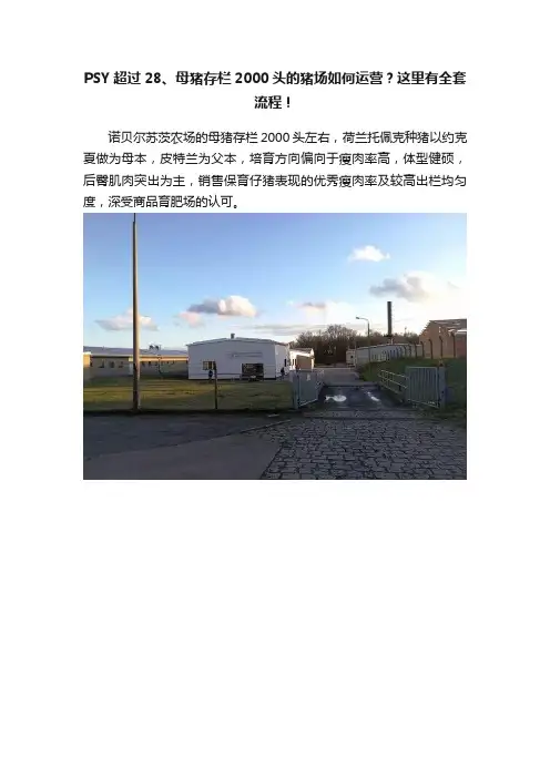 PSY超过28、母猪存栏2000头的猪场如何运营？这里有全套流程！