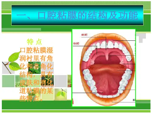 口腔溃疡诊断及鉴别PPT课件