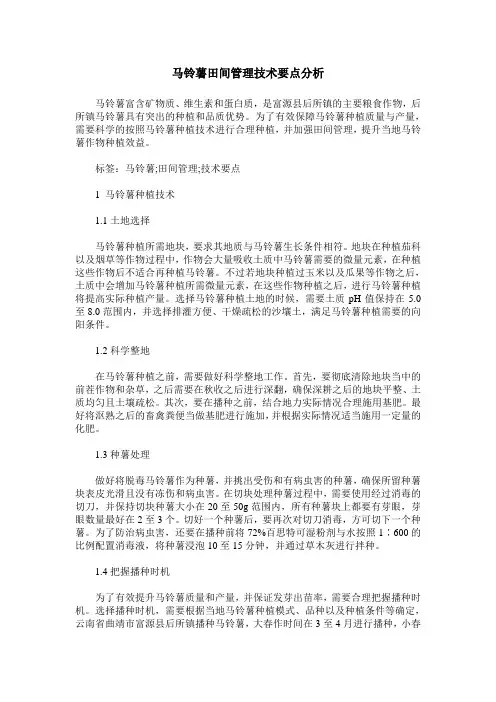 马铃薯田间管理技术要点分析