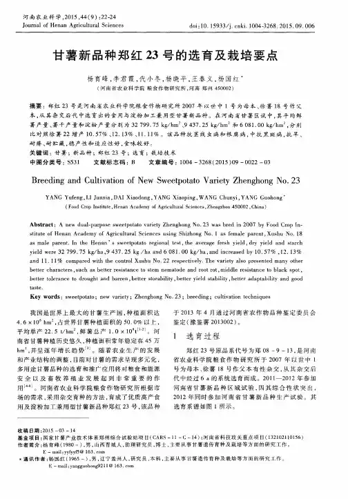 甘薯新品种郑红23号的选育及栽培要点