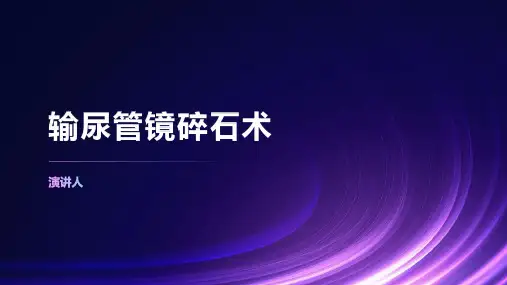 输尿管镜碎石术