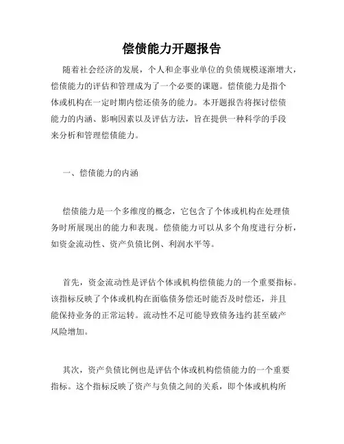 偿债能力开题报告