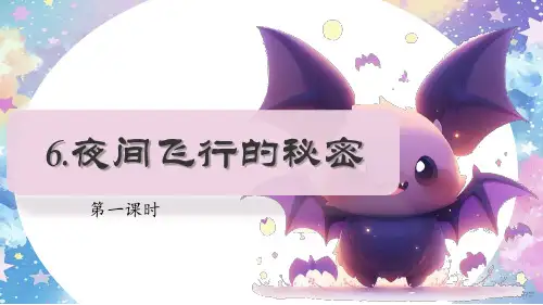 6 夜间飞行的秘密 第一课时  课件(共24张PPT)