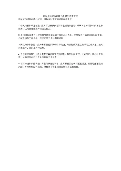 团队成员进行自我分析,进行内容定位