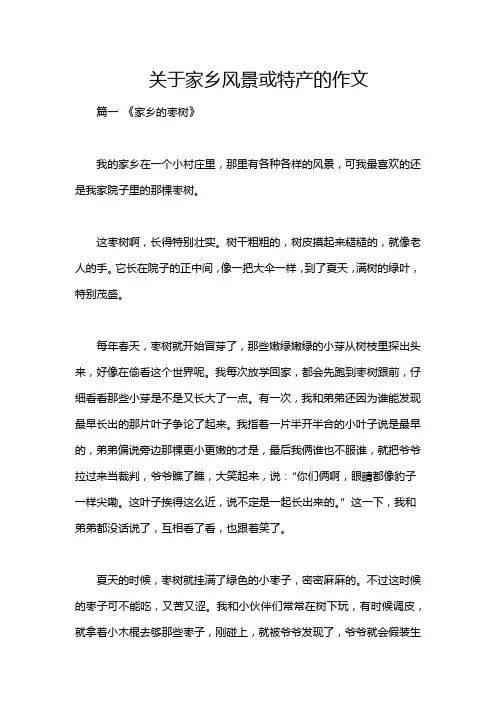 关于家乡风景或特产的作文