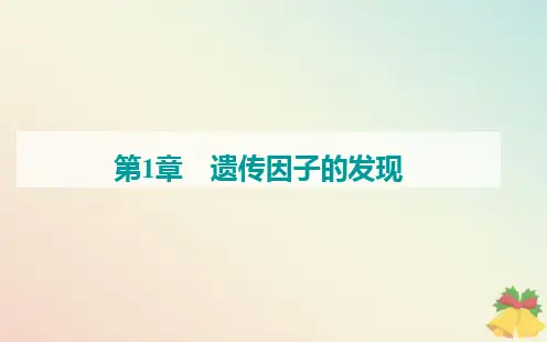 新教材2024届高中生物新人教版必修2：孟德尔的豌豆杂交实验一课件