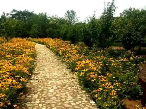 《开满鲜花的小路》教学课件