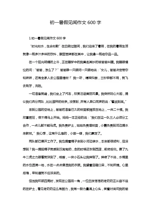 初一暑假见闻作文600字