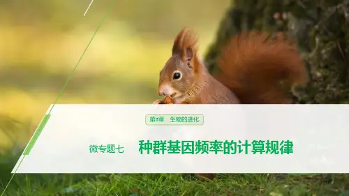 人教版高中生物必修二第6章微专题七种群基因频率的计算规律