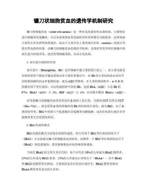 镰刀状细胞贫血的遗传学机制研究