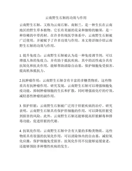 云南野生石斛的功效与作用