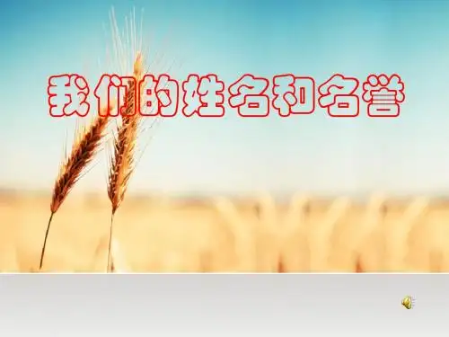 我们的姓名和名誉_课件