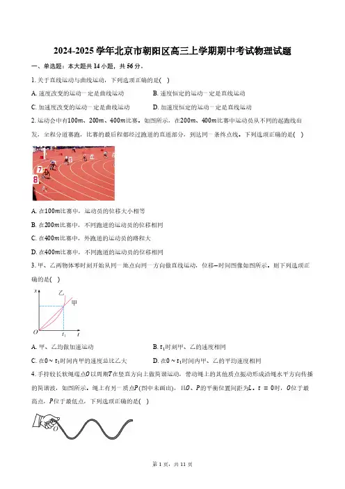 2024-2025学年北京市朝阳区高三上学期期中考试物理试题(含答案)