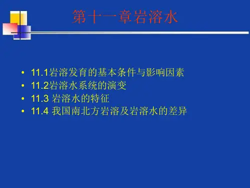 岩溶水