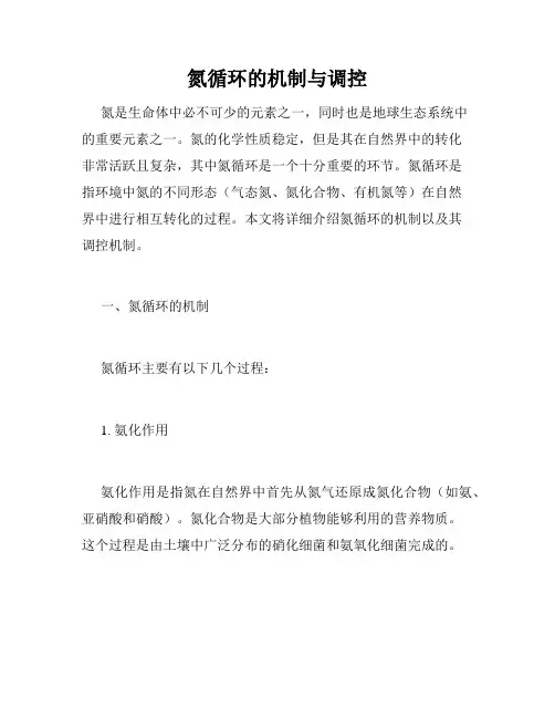 氮循环的机制与调控