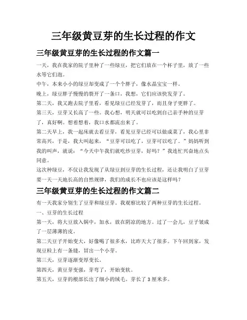 三年级黄豆芽的生长过程的作文
