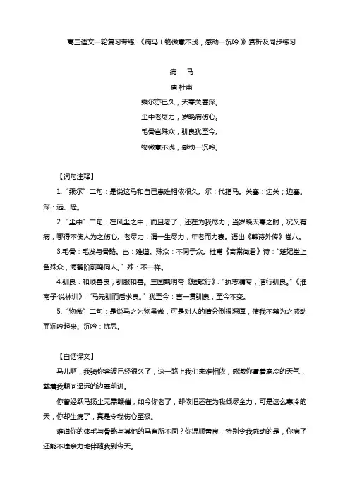 高三语文一轮复习专练：《病马(物微意不浅,感动一沉吟)》赏析及同步练习