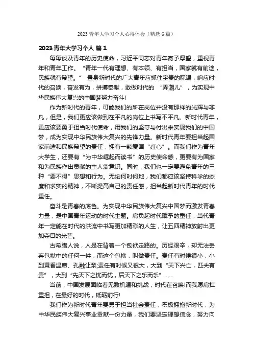2023青年大学习个人心得体会（精选6篇）