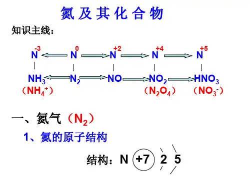 【高考化学】氮及其化合物