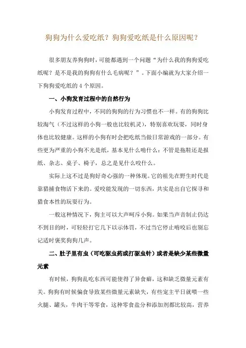 狗狗为什么爱吃纸？狗狗爱吃纸是什么原因呢？
