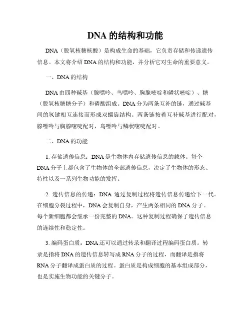 DNA的结构和功能