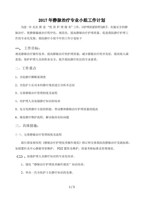 2017年静疗小组工作计划
