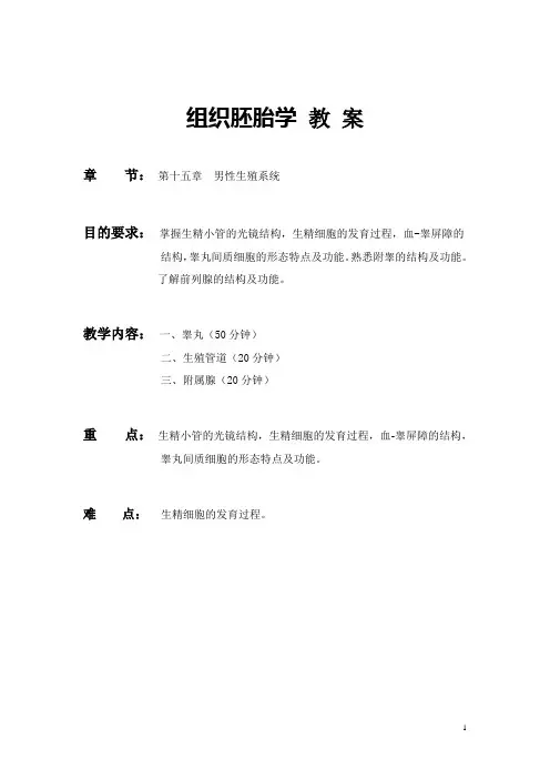 《组织学与胚胎学》教案——男性生殖系统(人卫版)