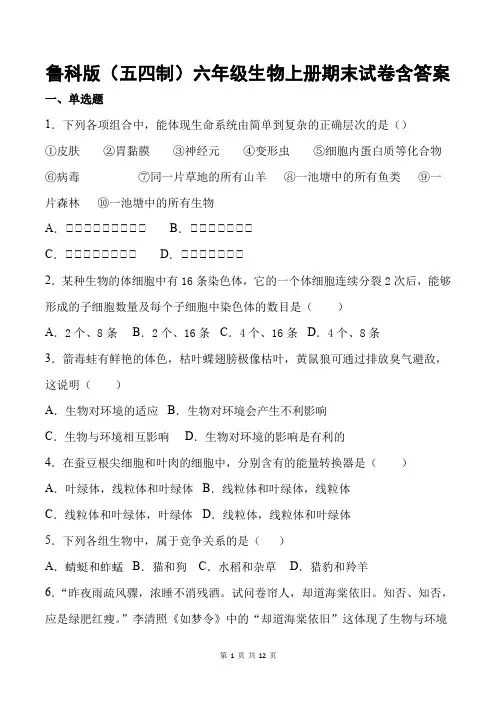 鲁科版(五四制)六年级生物上册期末试卷含答案