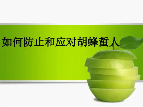 如何防止和应对胡蜂蜇人