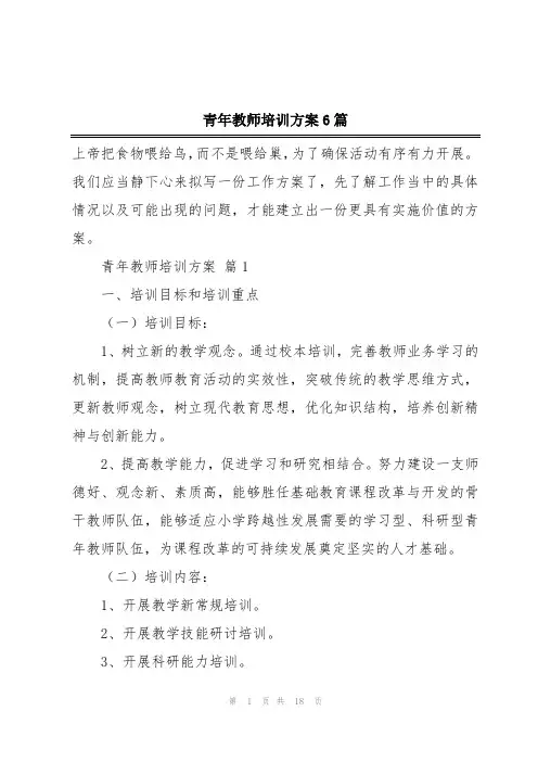 青年教师培训方案6篇