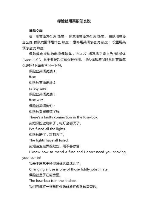 保险丝用英语怎么说