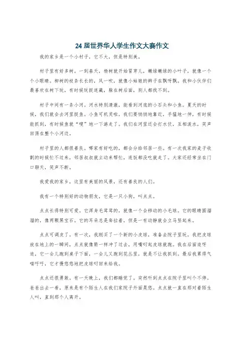 24届世界华人学生作文大赛作文