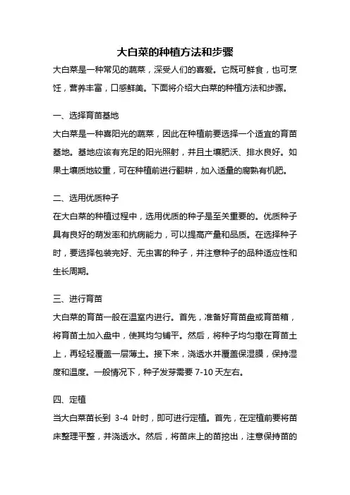 大白菜的种植方法和步骤