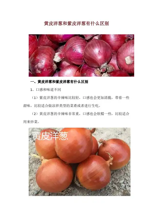 黄皮洋葱和紫皮洋葱有什么区别