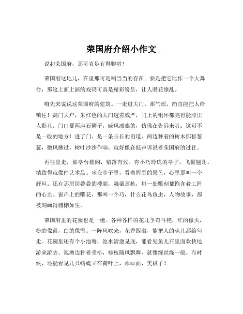 荣国府介绍小作文