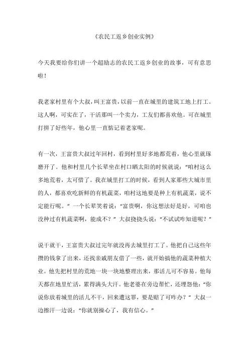 农民工返乡创业实例