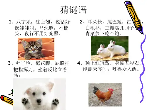 我喜欢的小动物作文课件PPT课件
