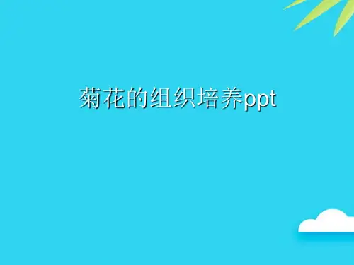 菊花的组织培养ppt优质PPT资料