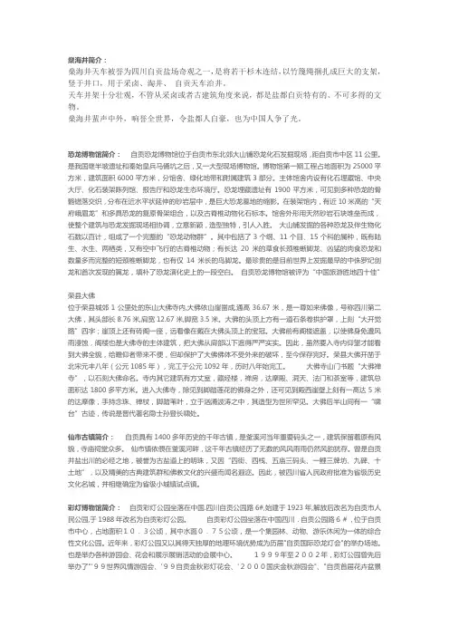 自贡：恐龙之乡、盐业博物馆,国家级盐井、大佛和彩灯