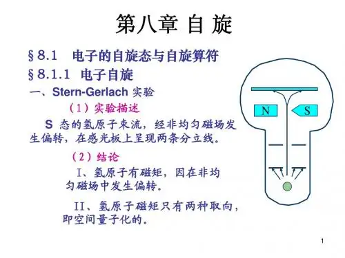 第八章 自旋