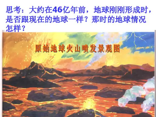 第一节生命的起源