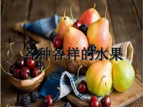一年级下册美术课件-13各式各样的水果 人教新课标 (共26张PPT)