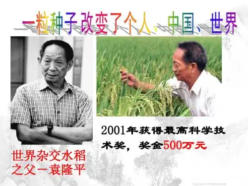 无形的财产ppt