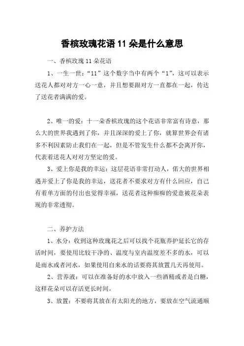 香槟玫瑰花语11朵是什么意思