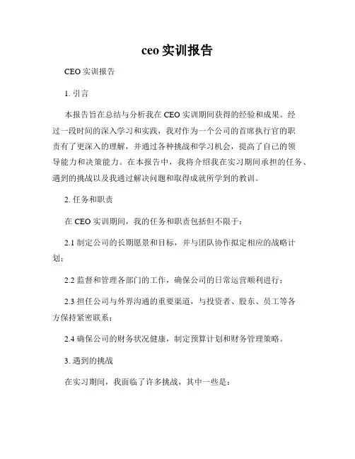 ceo实训报告
