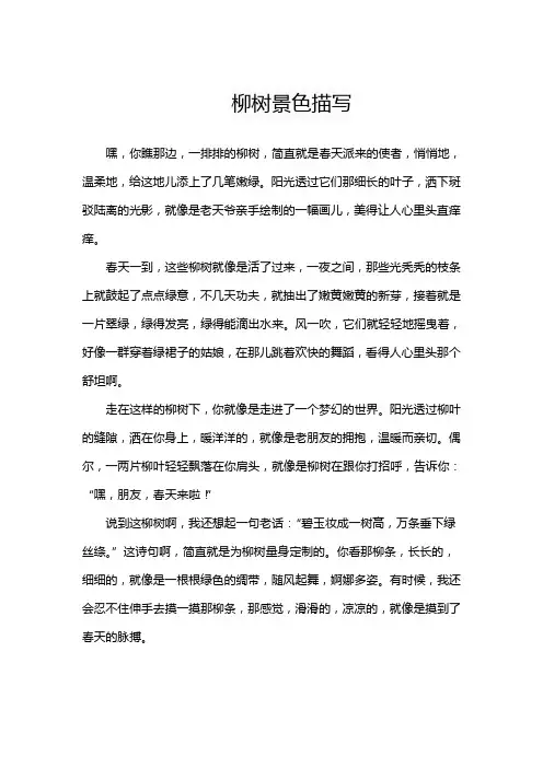 柳树景色描写
