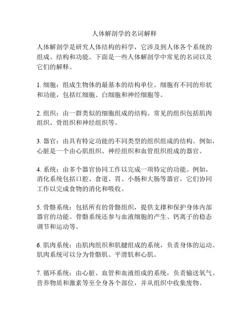 人体解剖学的名词解释