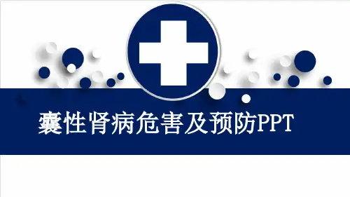 囊性肾病危害及预防PPT